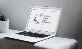 Webagentur Beispielbild Agenturseite